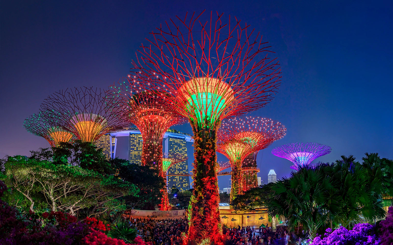 Gardens By The Bay Light Show Tips Timings More Gardens By The Bay Light Show Tips Timings More